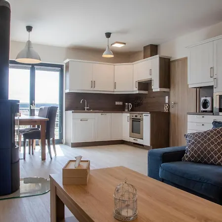 Apartman 275 - Boží Dar