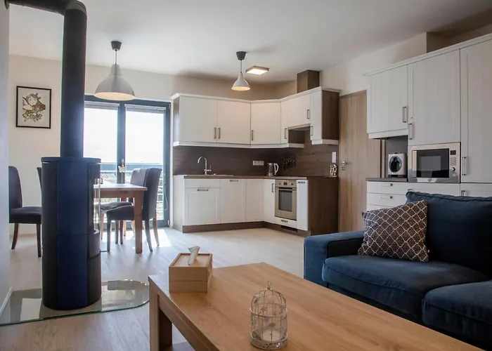 公寓 275 - Boží Dar